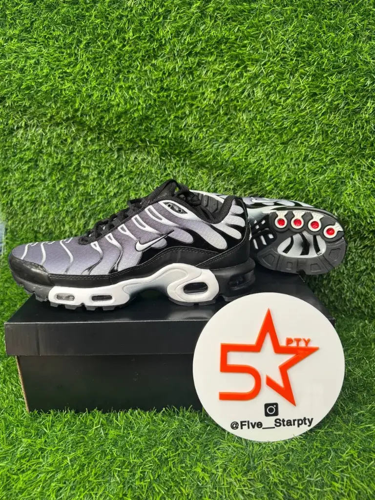 Nike Air Max Plus Negras con Blancas