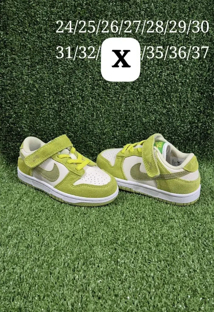 Dunk Kids